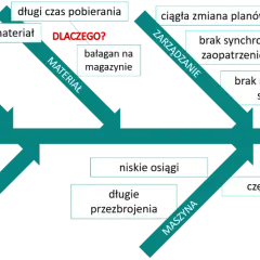 Diagram Ishikawy przykład: Metoda, Materiał, Zarządzanie, Człowiek i Maszyna jako przyczyny problemu.