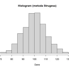 Histogram co to? Wykres słupkowy pokazujący rozkład danych, z najwyższymi słupkami wokół 100.