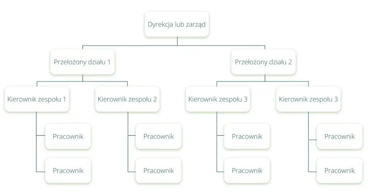 Struktura organizacyjna firmy - jak podzielić działy i role?
