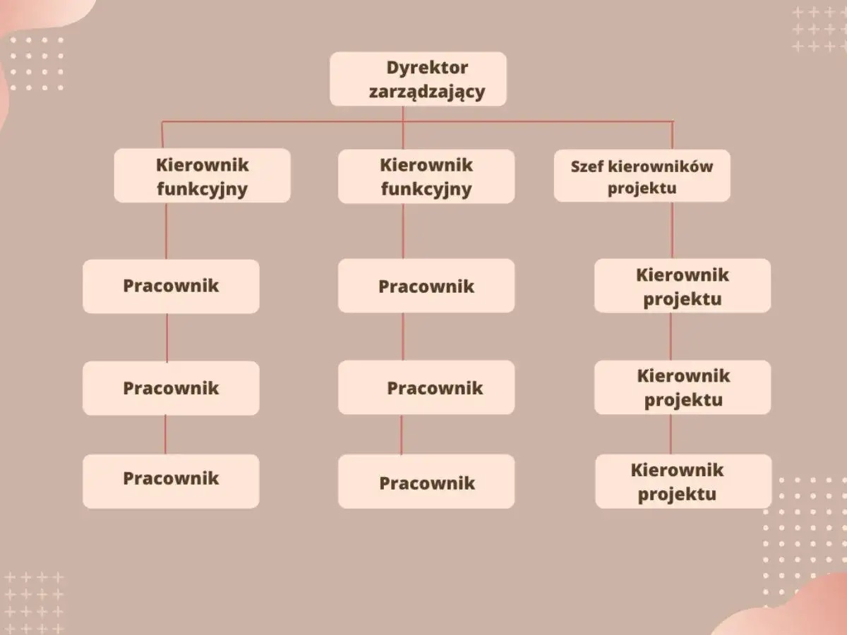 Schemat organizacyjny firmy z dyrektorem zarządzającym na czele. Pod nim kierownicy funkcyjni i szef kierowników projektu, a niżej pracownicy. Widać tu jasną strukturę i dyscyplinę pracy.