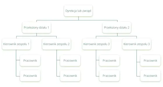 Struktura organizacyjna firmy - jak podzielić działy i role?