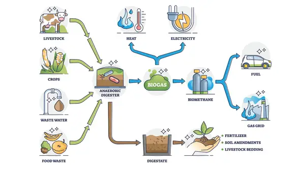 Schemat przedstawia proces produkcji energii z biomasy: od hodowli, upraw, odpadów po biogaz, biometan, ciepło, prąd, paliwo i nawóz.